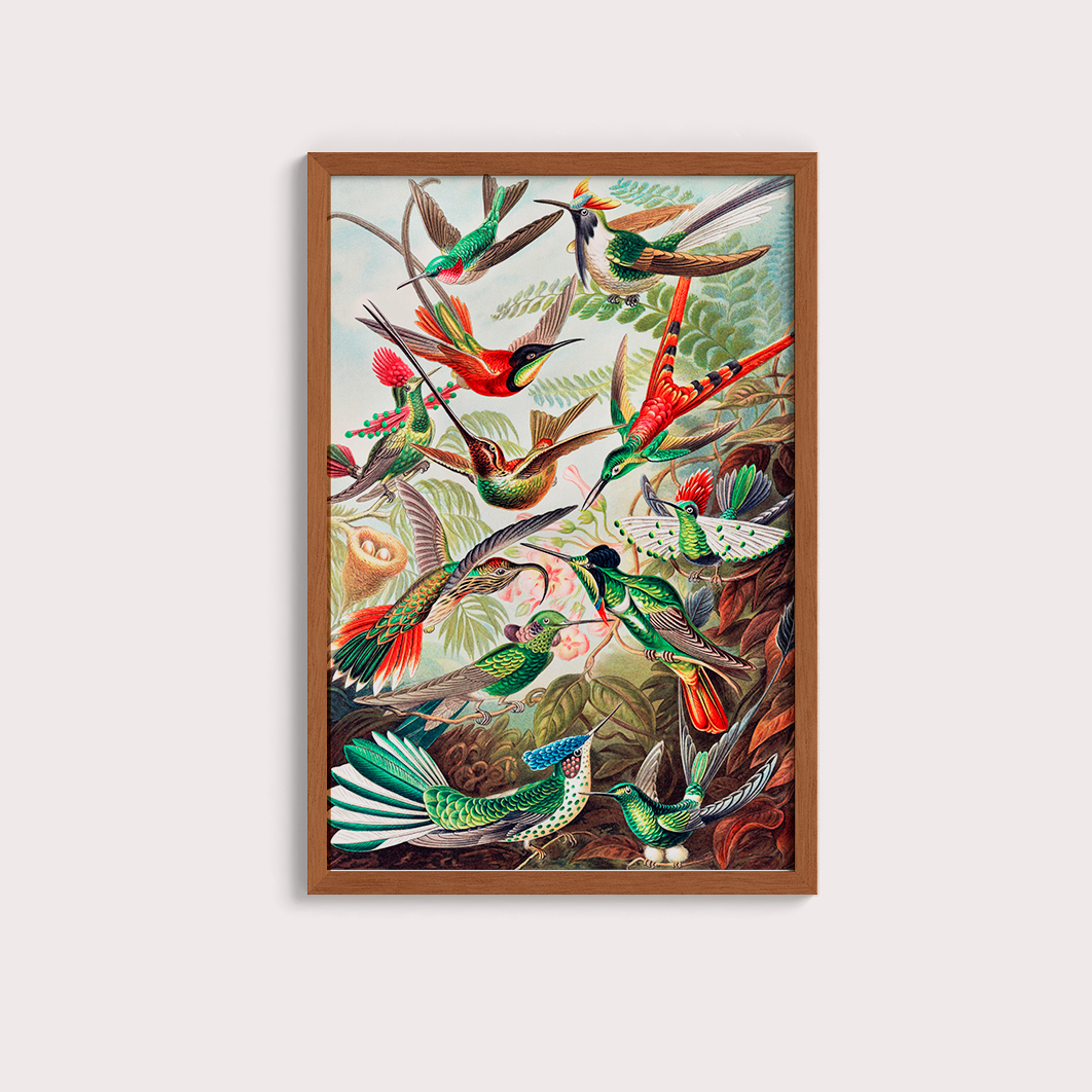 Magical Birds - LARTESTUDIO