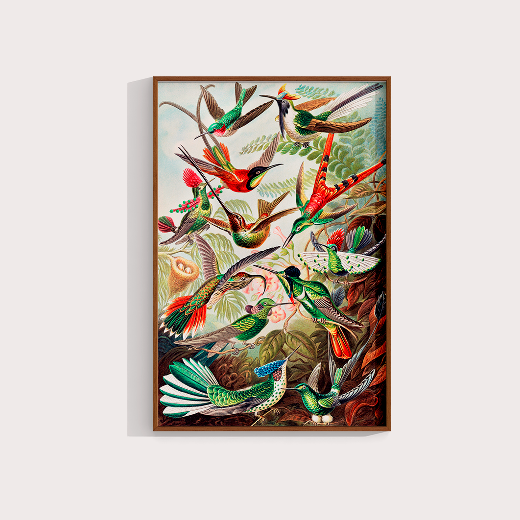 Magical Birds - LARTESTUDIO