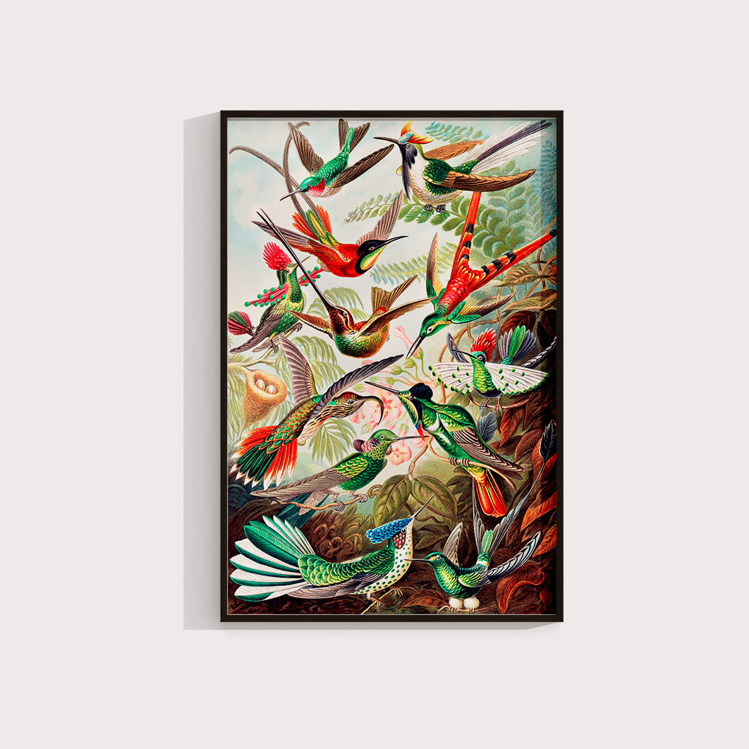 Magical Birds - LARTESTUDIO