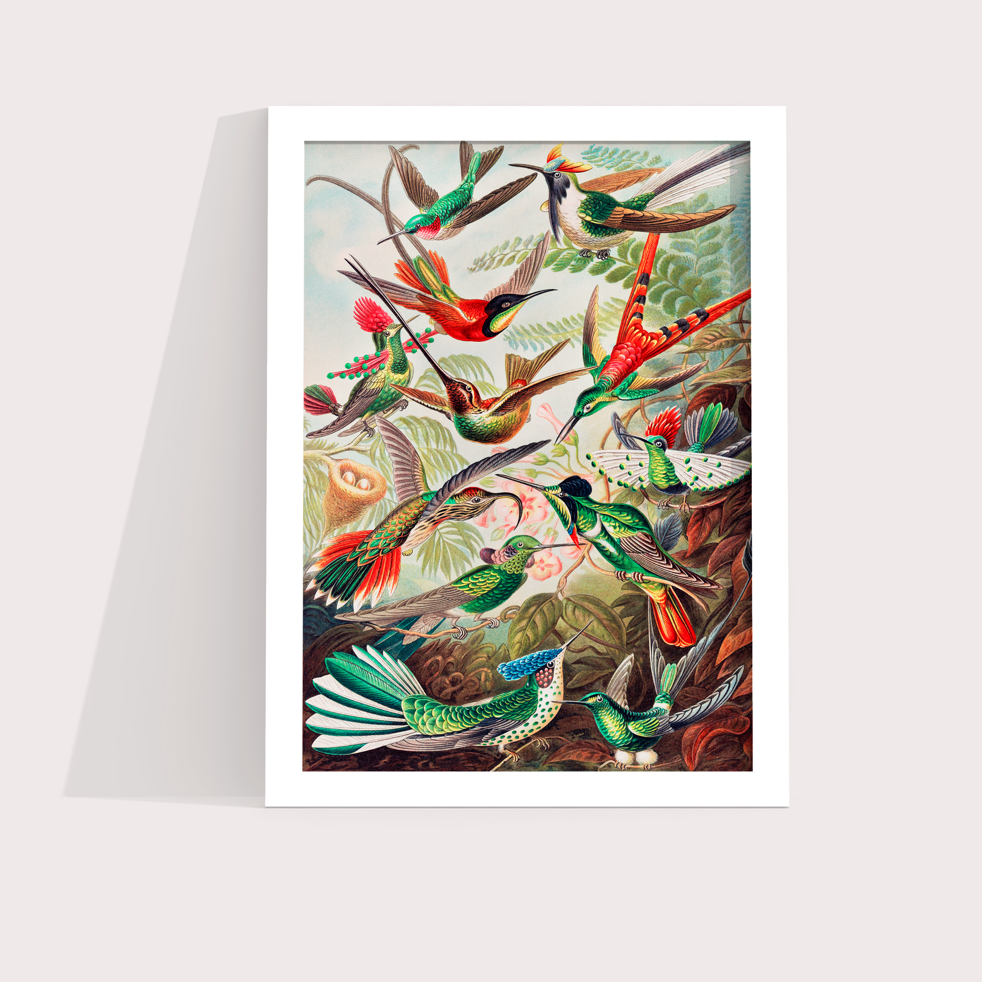Magical Birds - LARTESTUDIO