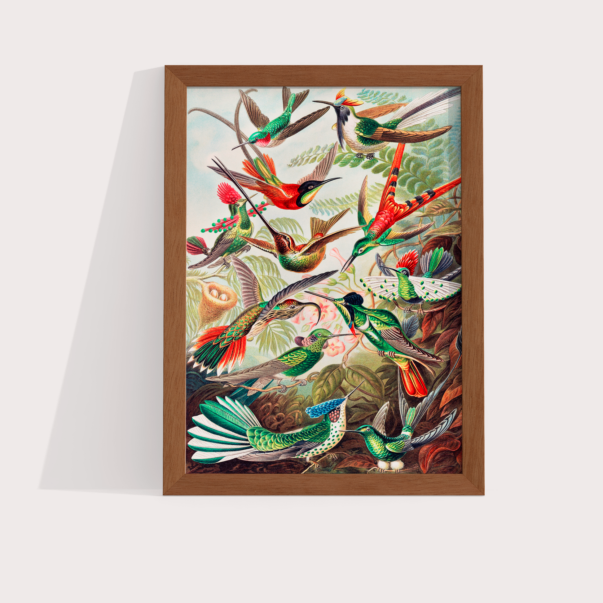 Magical Birds - LARTESTUDIO