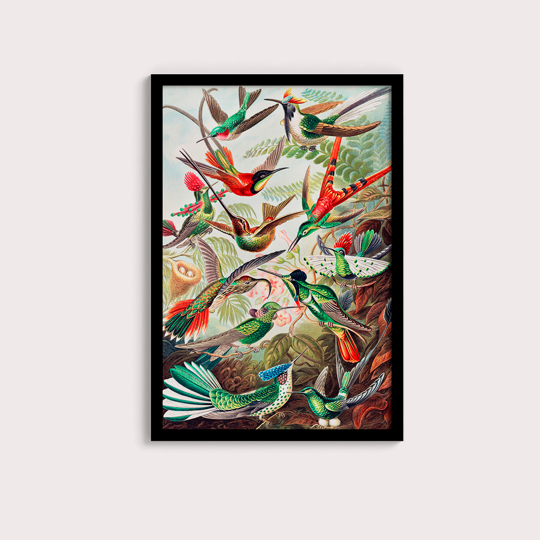 Magical Birds - LARTESTUDIO