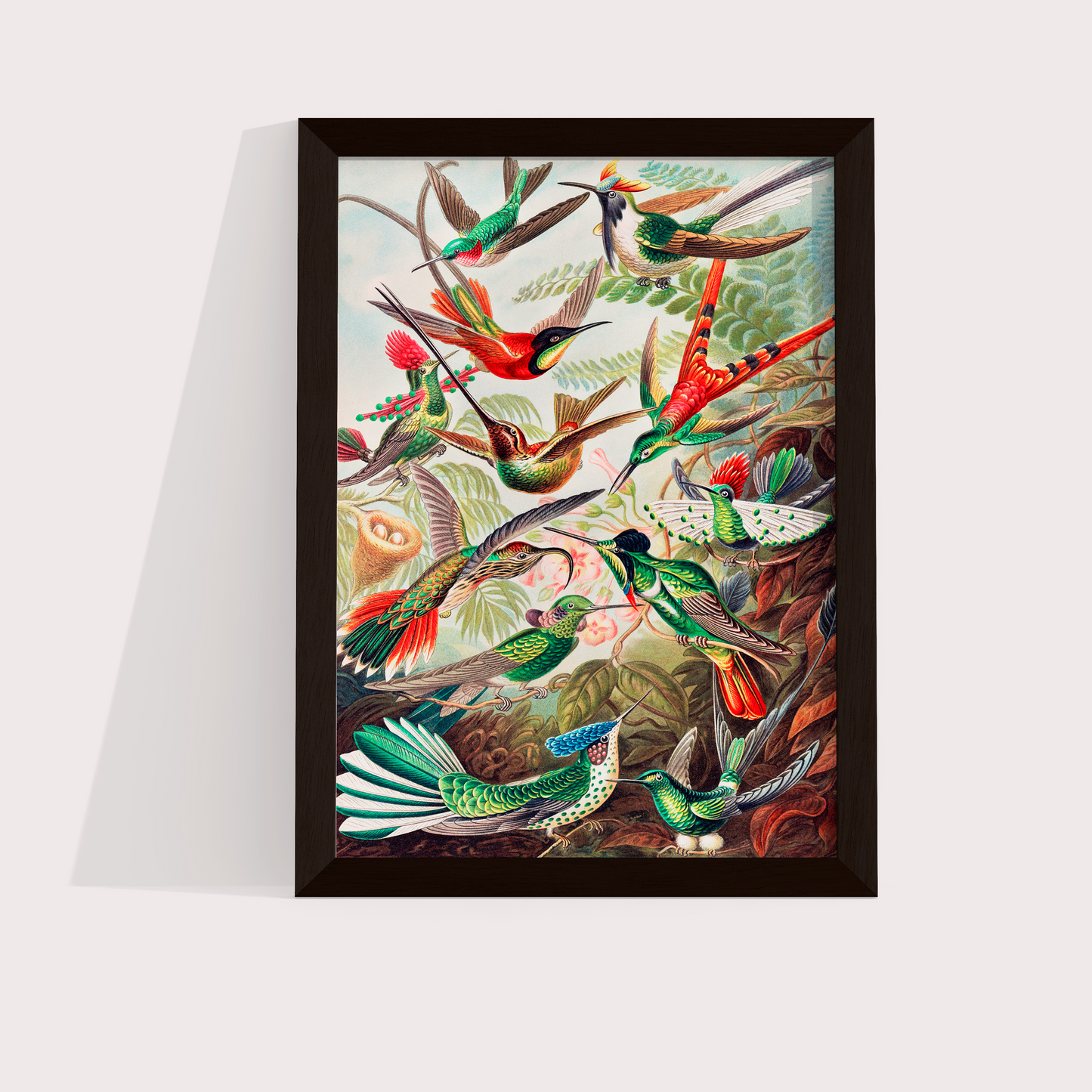 Magical Birds - LARTESTUDIO