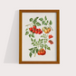 Tomate vintage