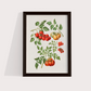Tomate vintage