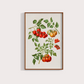 Tomate vintage