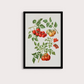 Tomate vintage